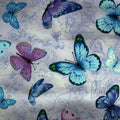 Butterfly Dreams