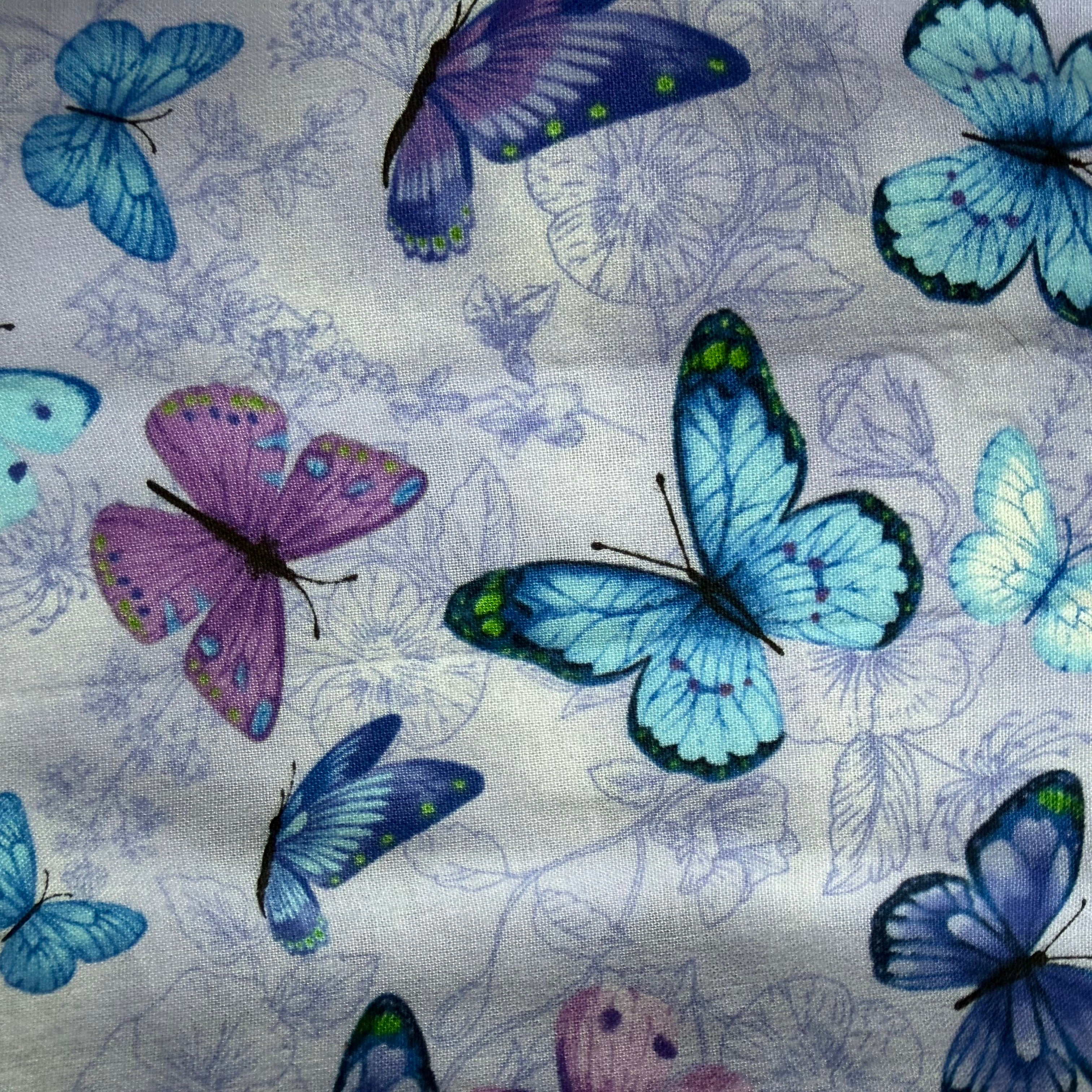 Butterfly Dreams