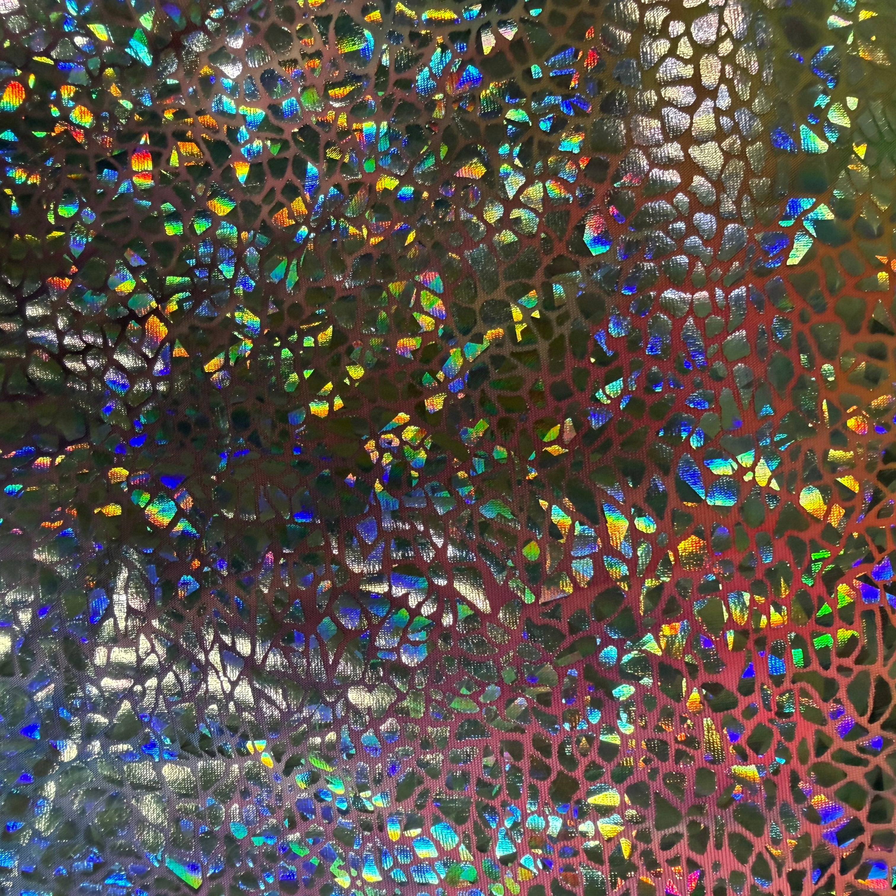 Rainbow Scales