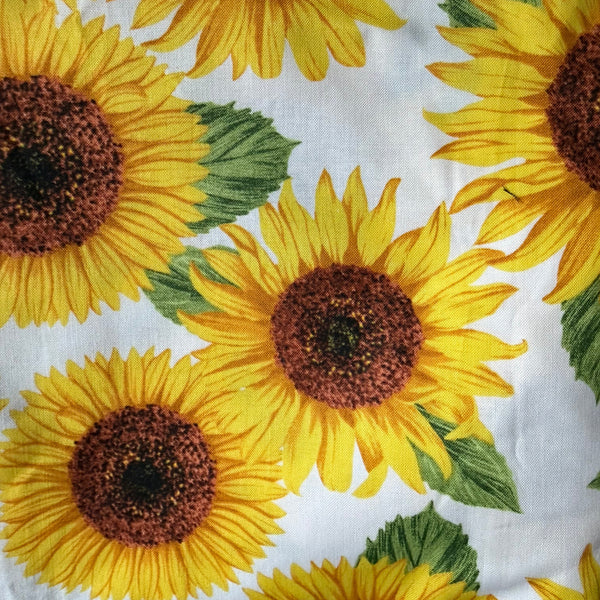 Summer Sunflowers